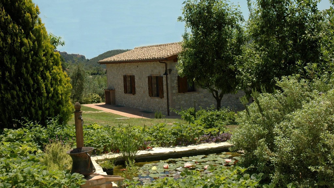 Photo of Outdoor in Amelia