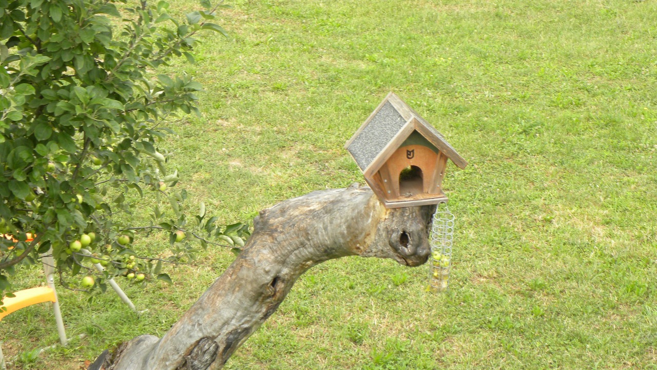 Photo of Outdoor in Albareto