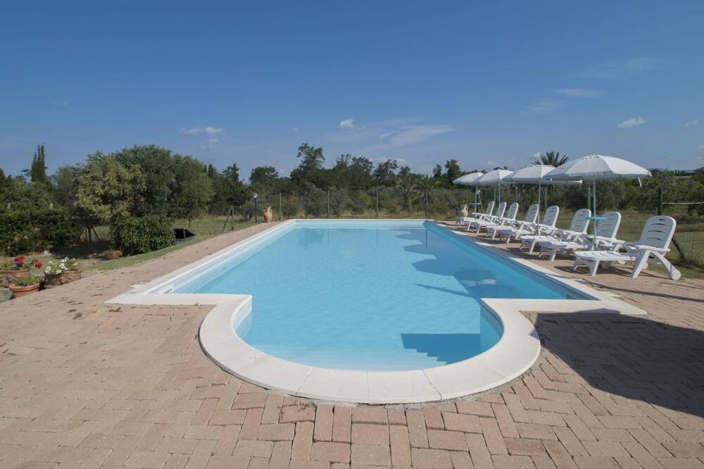 Photo of Outdoor in Bibbona