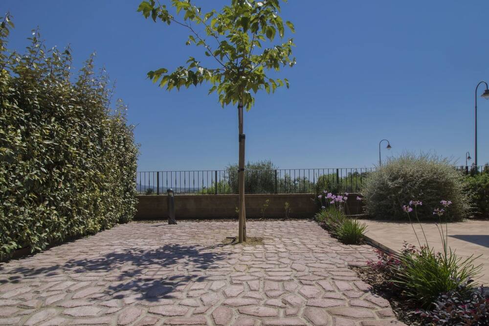 Photo of Outdoor in Suvereto