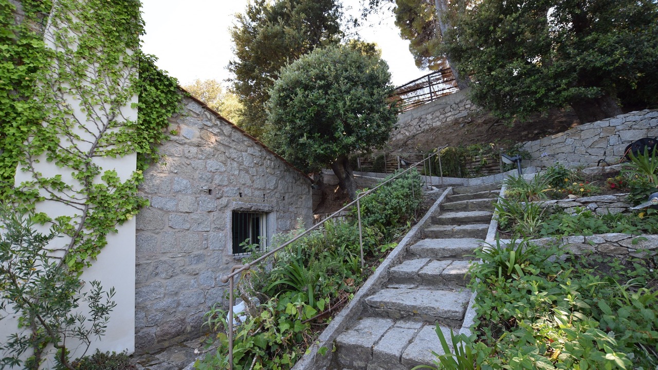 Photo of Outdoor in Procchio
