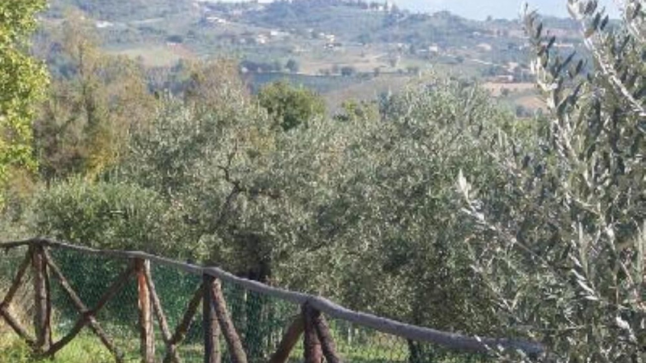 Photo of Others in Gualdo Cattaneo