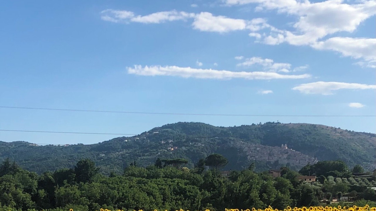 Photo of Others in Valmontone