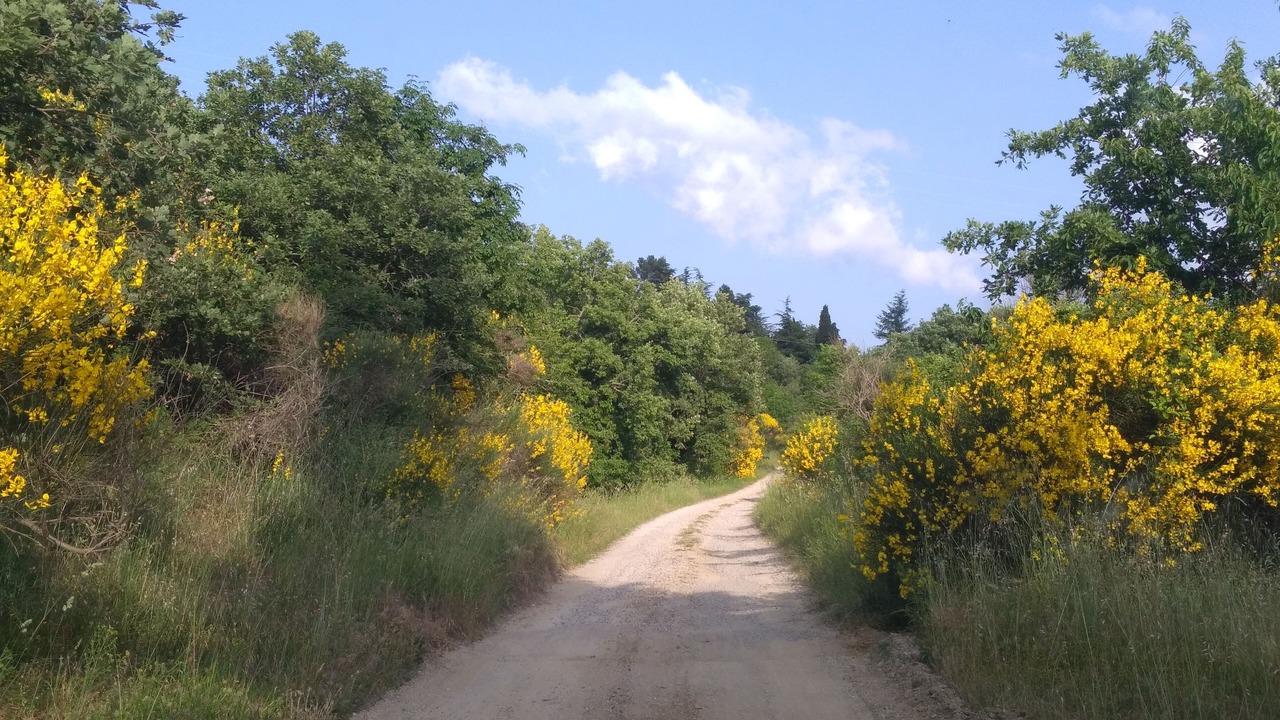 Photo of Outdoor in Arezzo