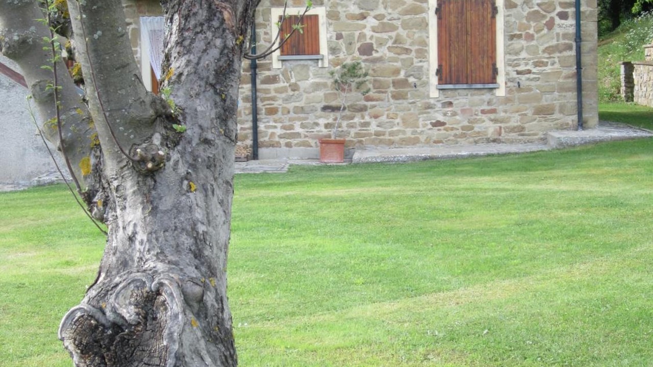 Photo of Outdoor in Arezzo