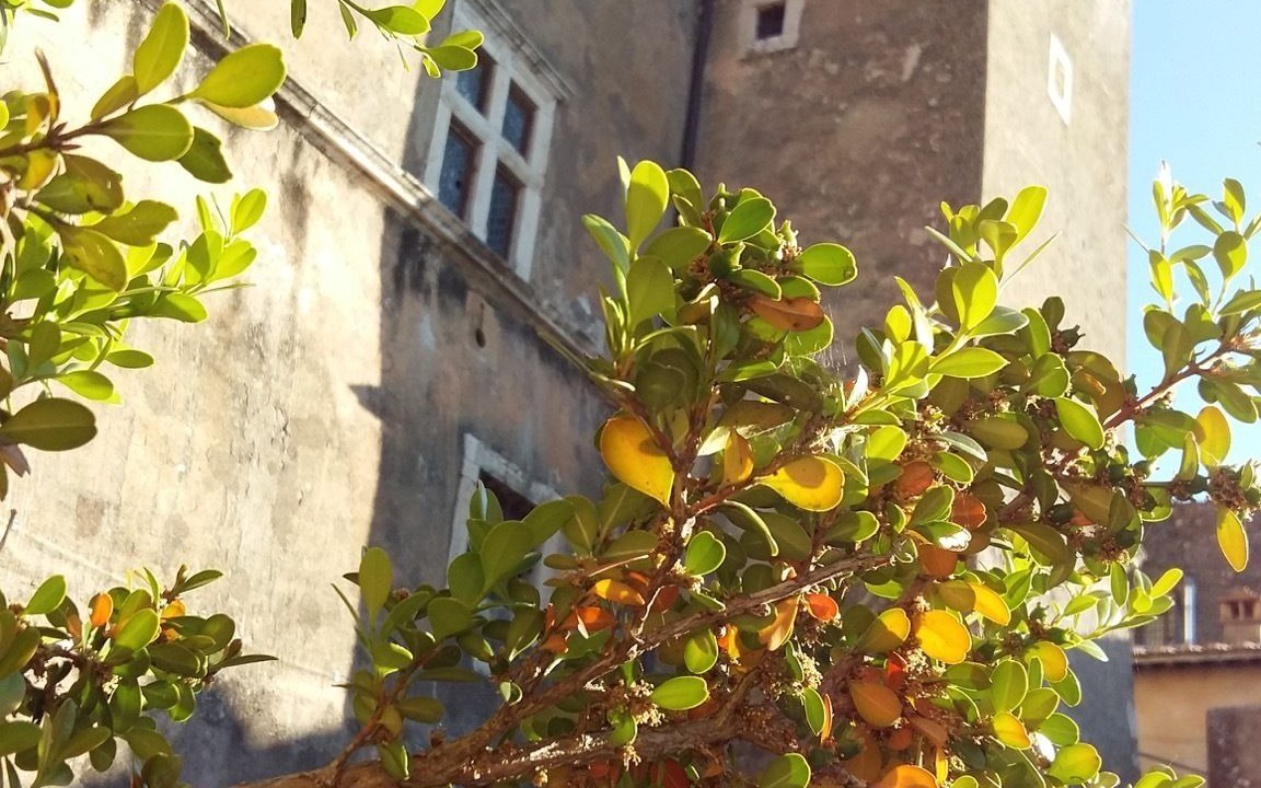 Photo of Others in Fiano Romano