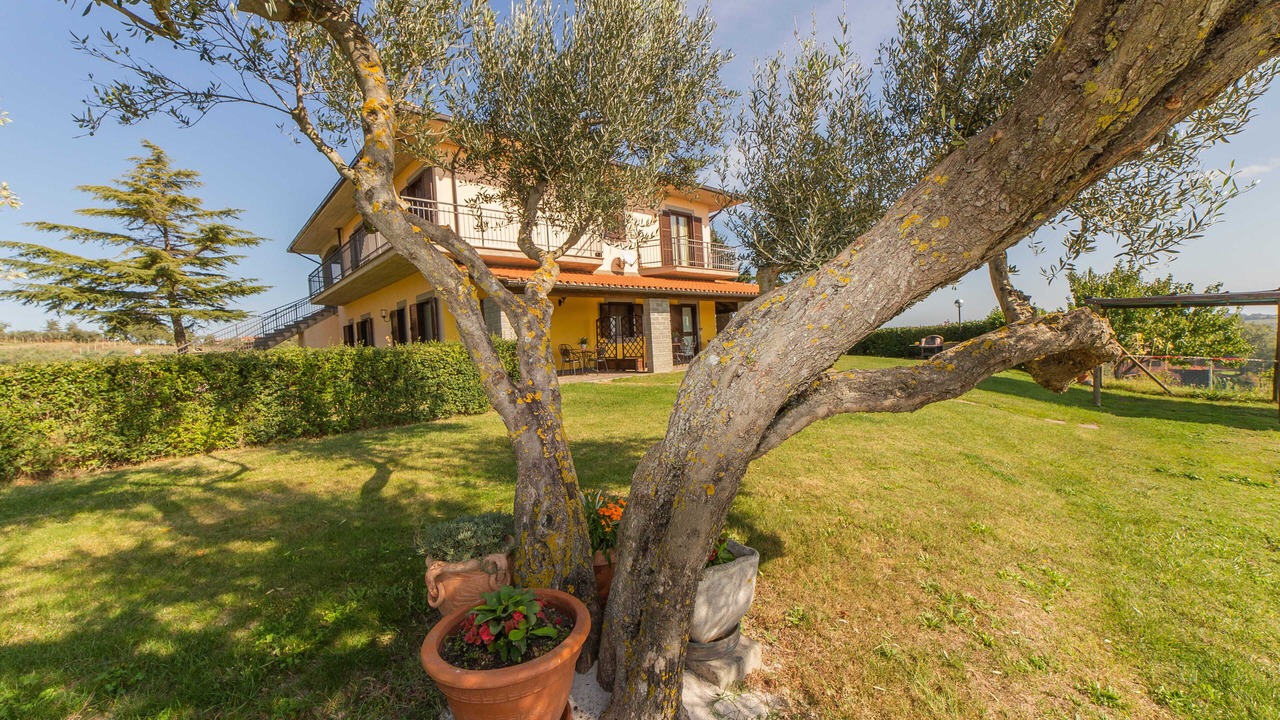 Photo of Outdoor in Montefiascone