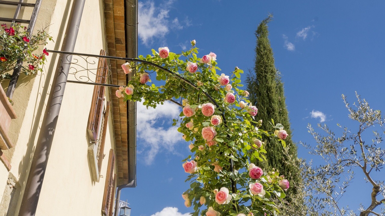 Photo of Outdoor in Monte San Savino