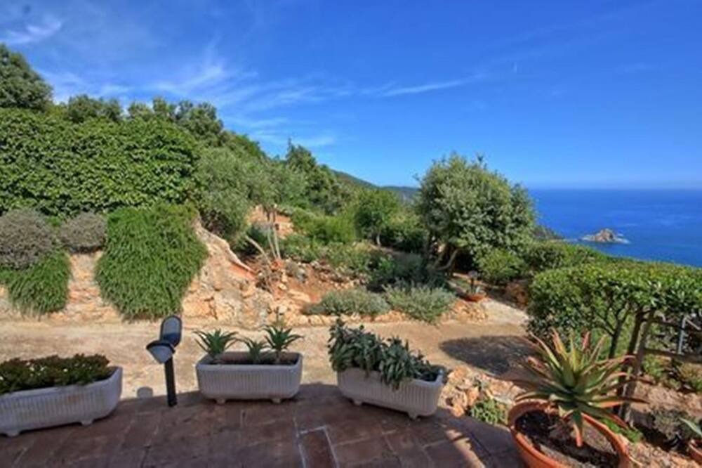 Photo of Others in Monte Argentario