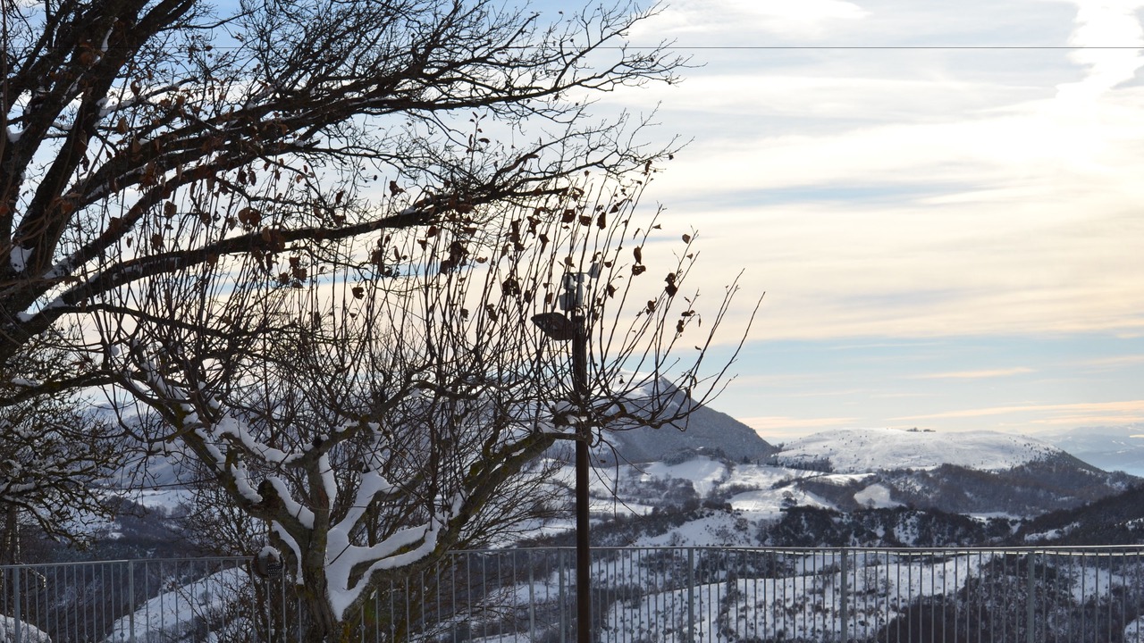 Photo of Others in Nerbisci