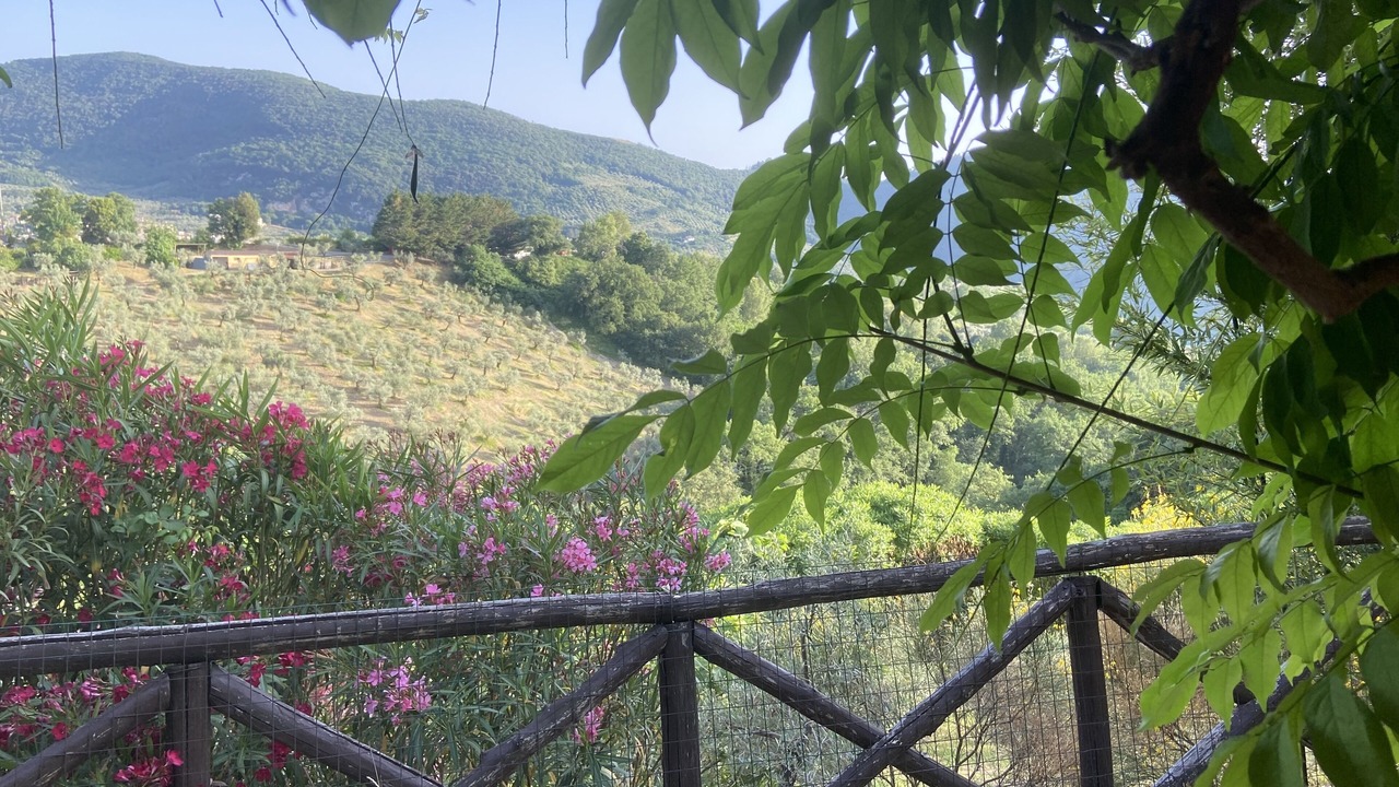 Photo of Outdoor in Castelnuovo di Farfa