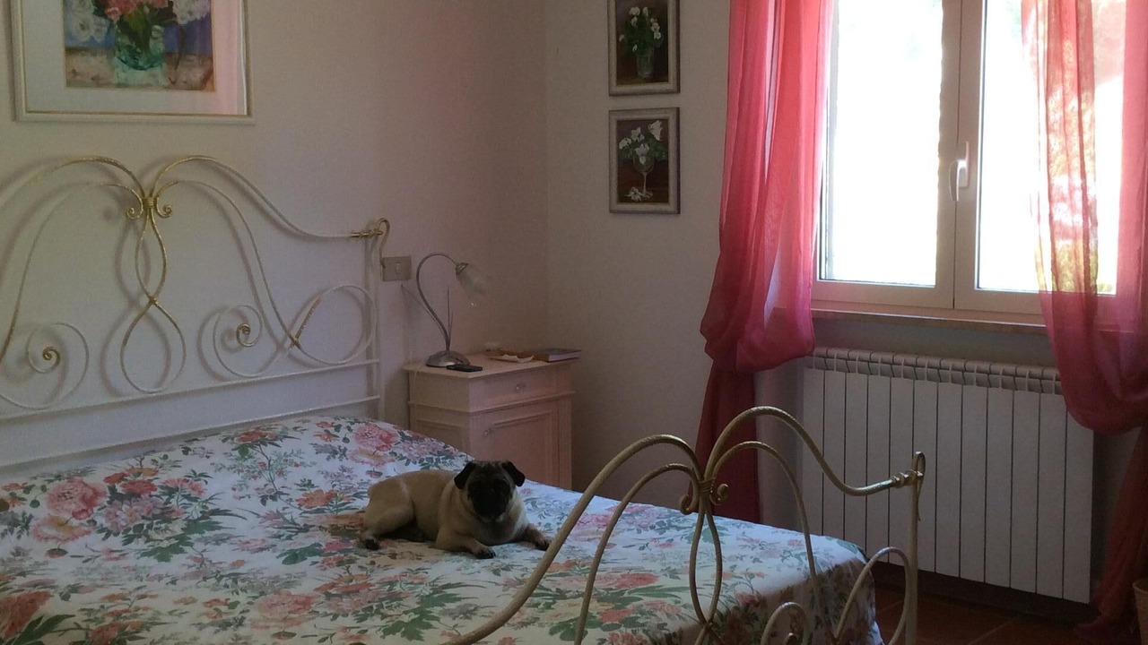 Photo of Others in Castelnuovo di Farfa
