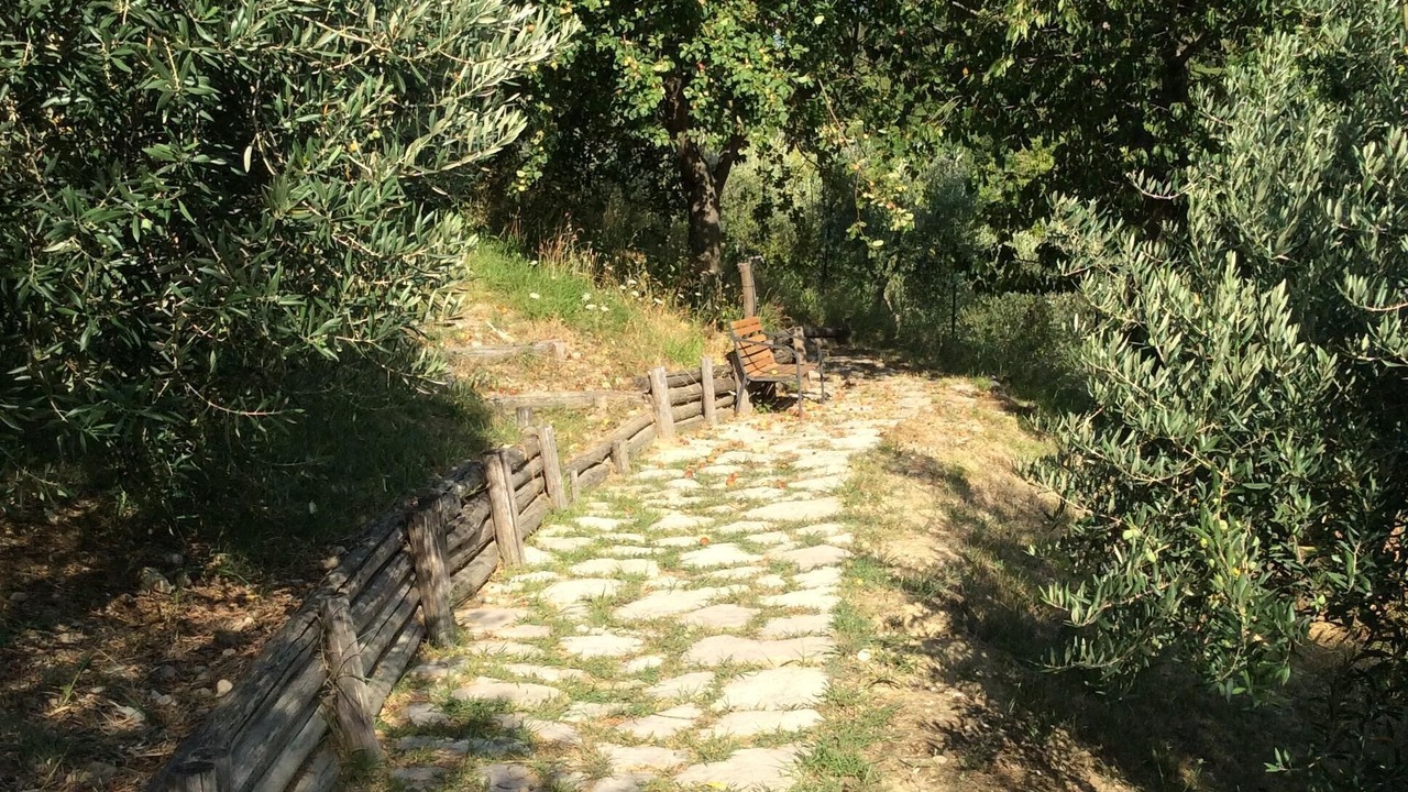 Photo of Outdoor in Castelnuovo di Farfa