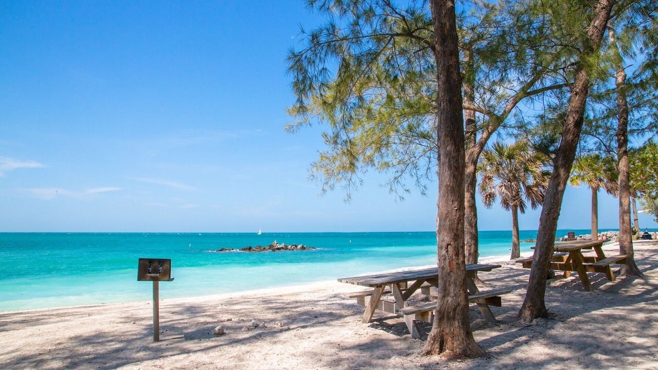Photo of Others in Bahama Village