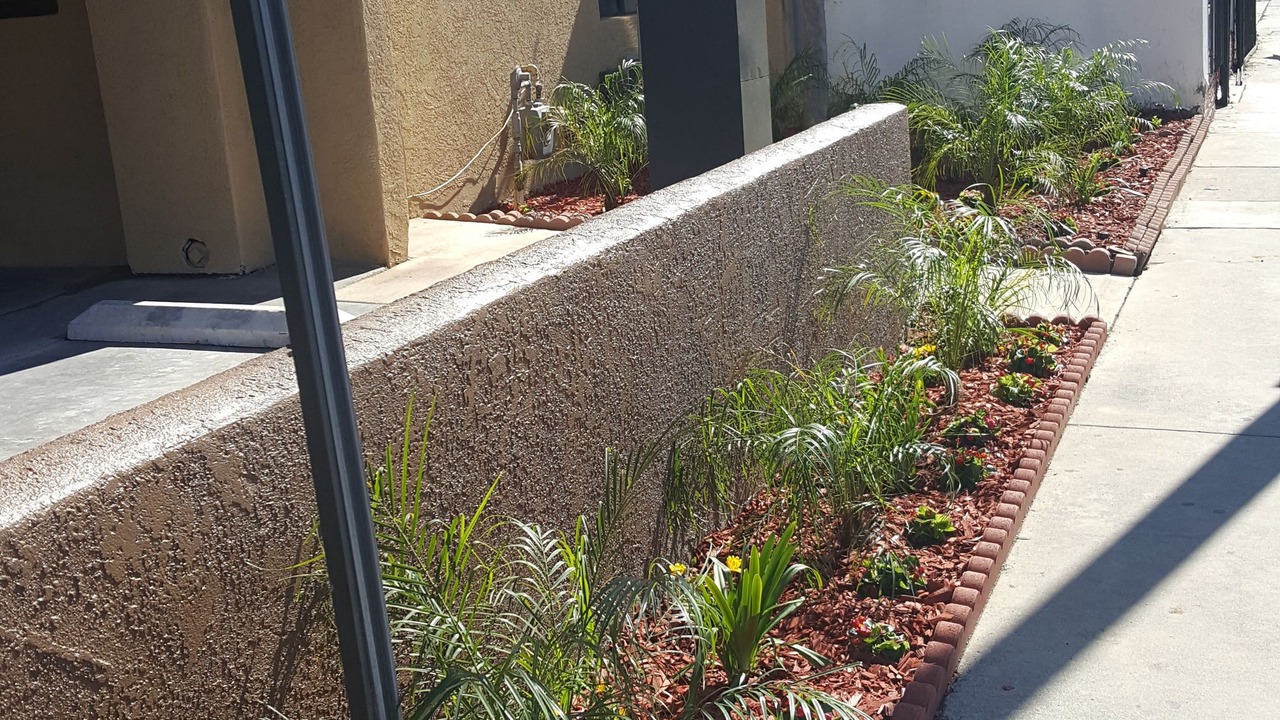 Photo of Outdoor in North Long Beach