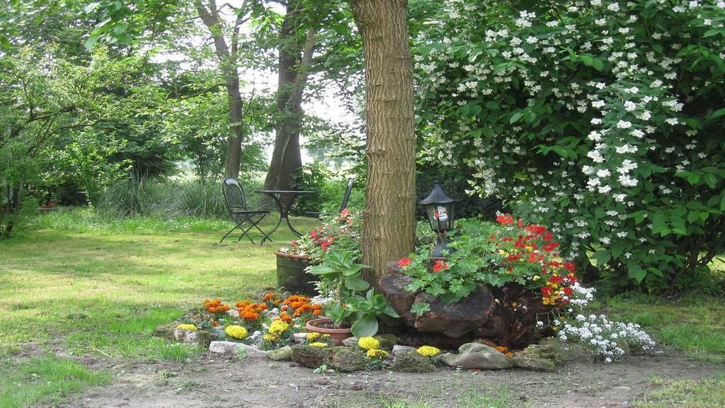 Photo of Outdoor in Massa Castello