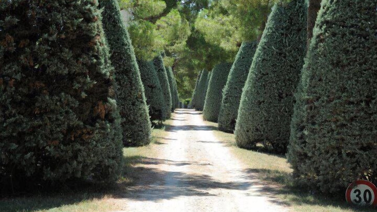 Photo of Outdoor in Diegaro