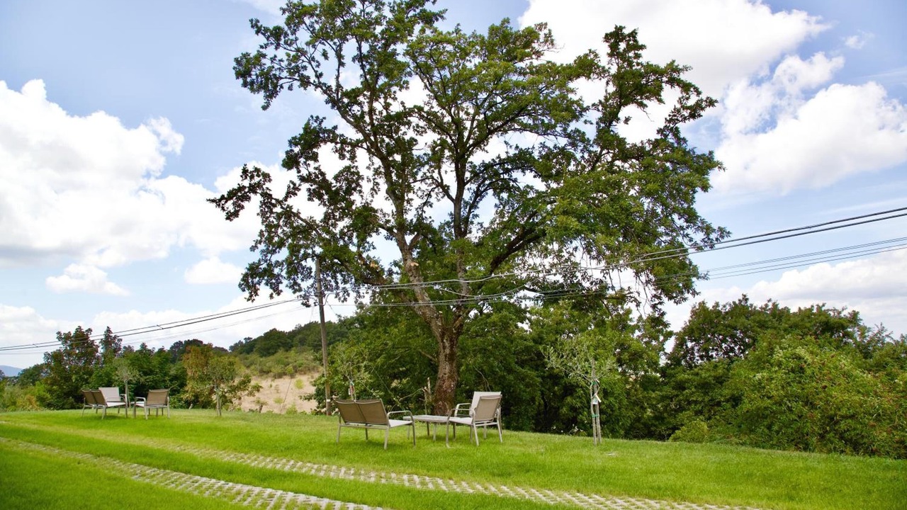 Photo of Others in Monteluiano