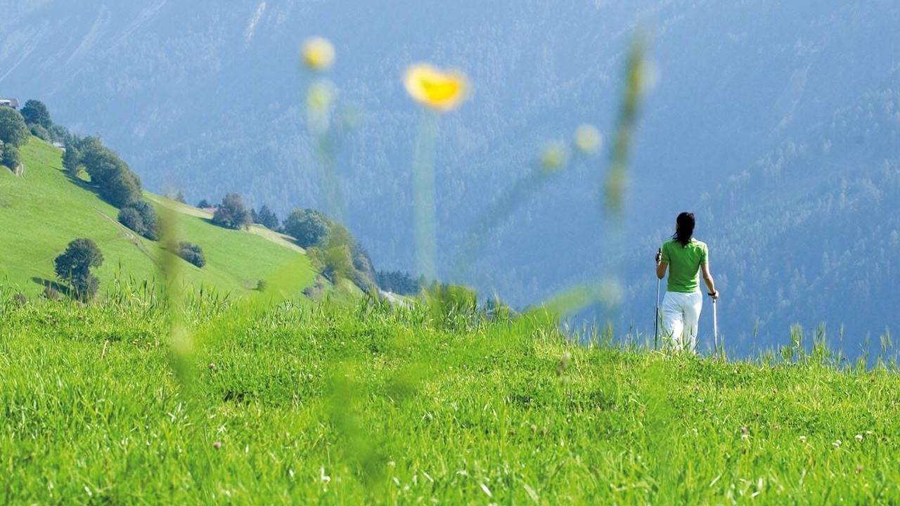 Photo of Outdoor in Monteluiano