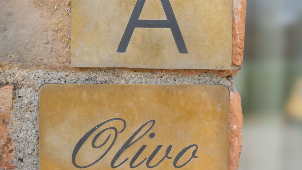 Photo of Outdoor in San Gimignano