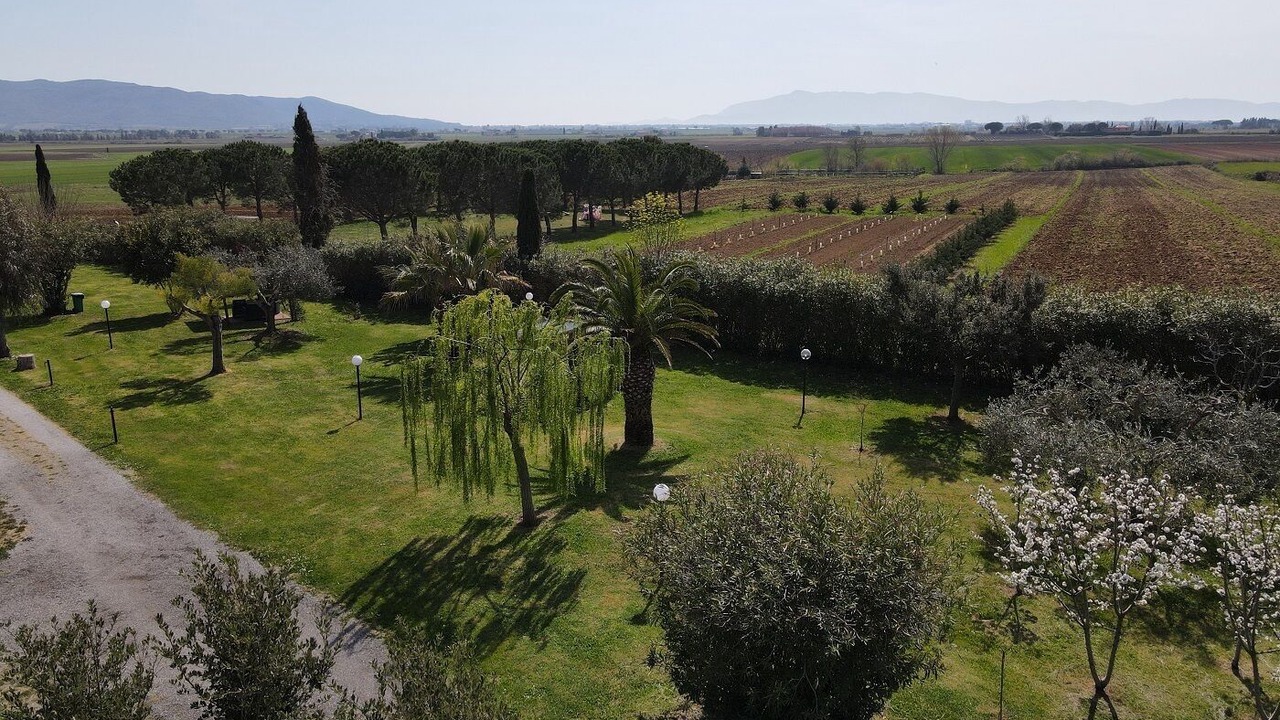 Photo of Outdoor in Orbetello
