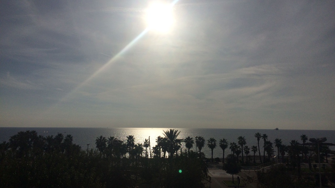 Photo of Others in Civitavecchia