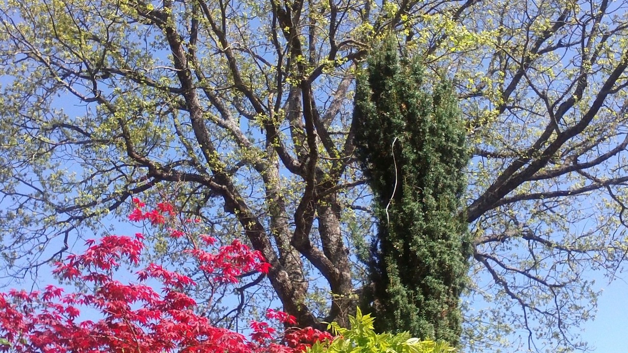 Photo of Outdoor in Gubbio