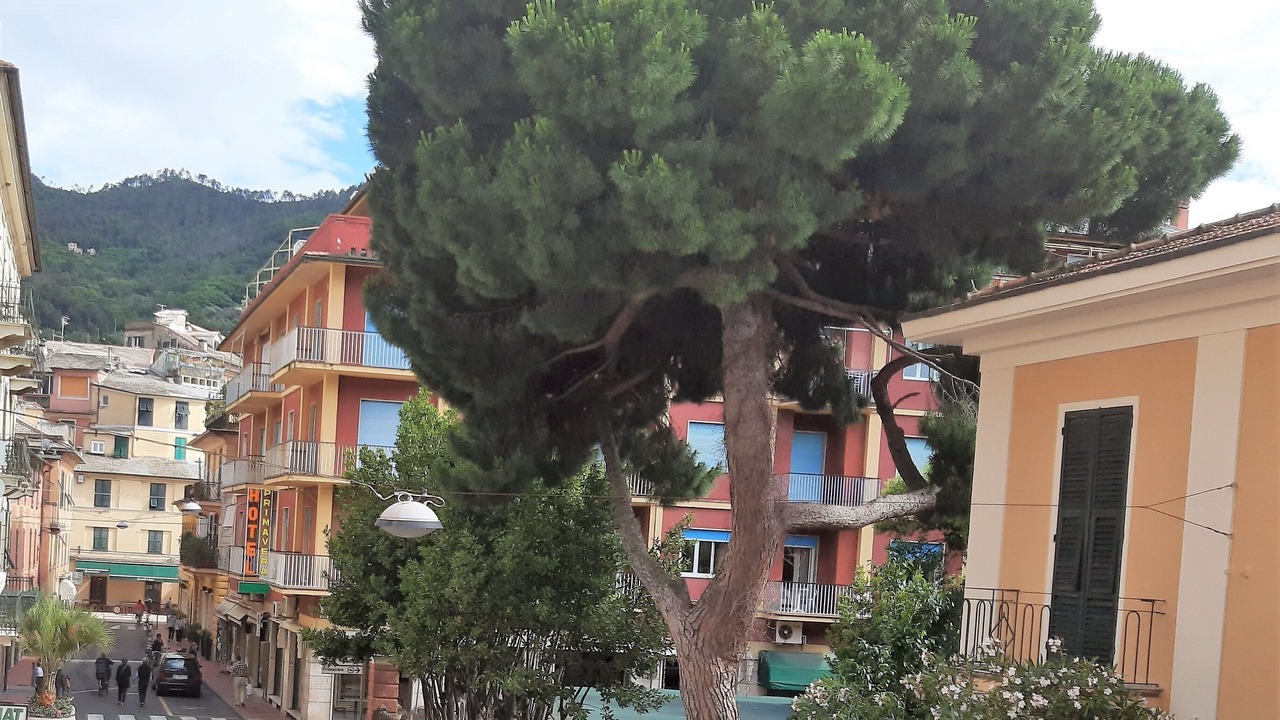 Photo of Others in Levanto