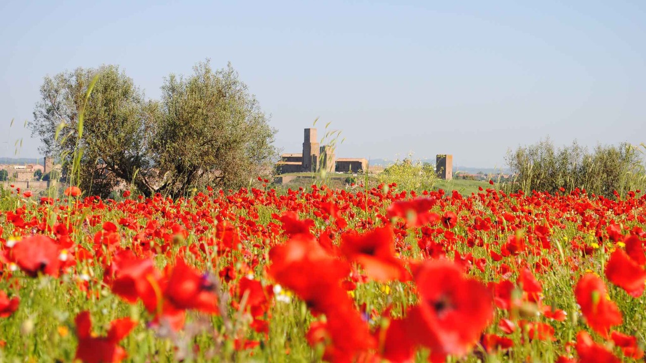 Photo of Outdoor in Tuscania