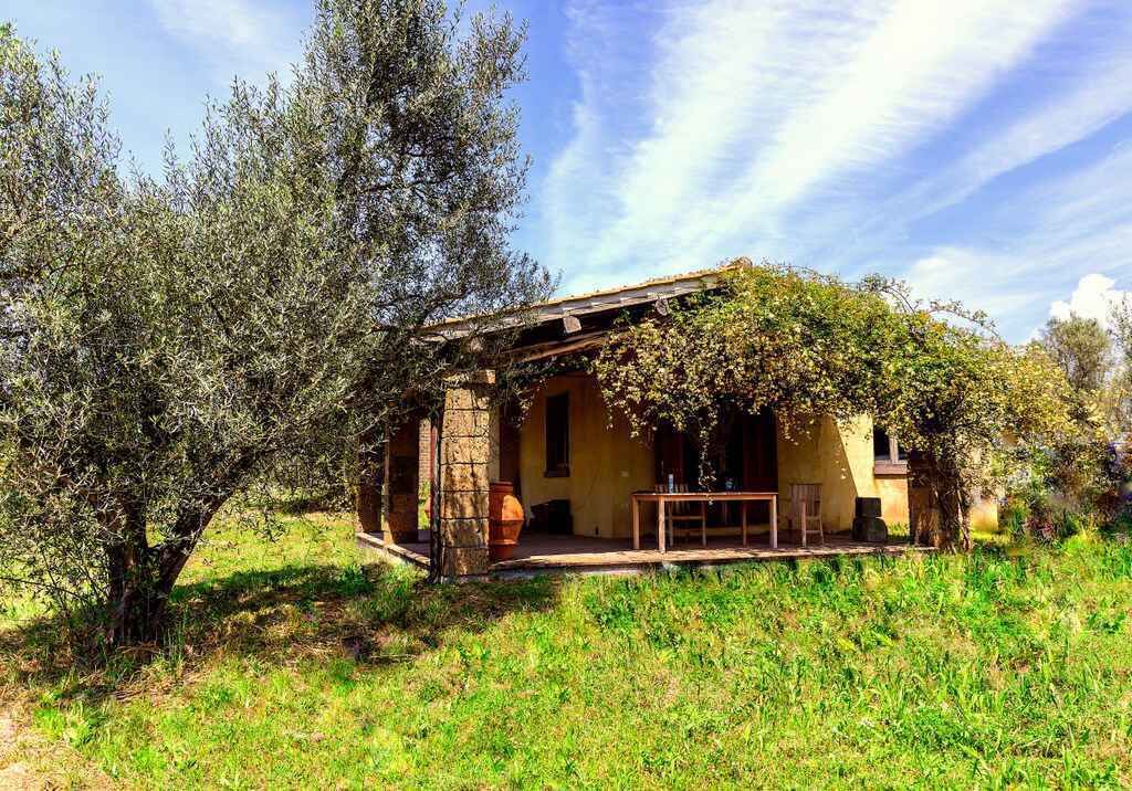 Photo of Buildings in Tuscania