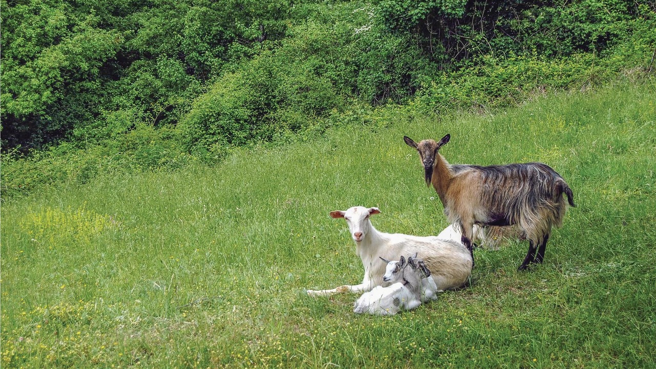 Photo of Outdoor in Pieve Santo Stefano