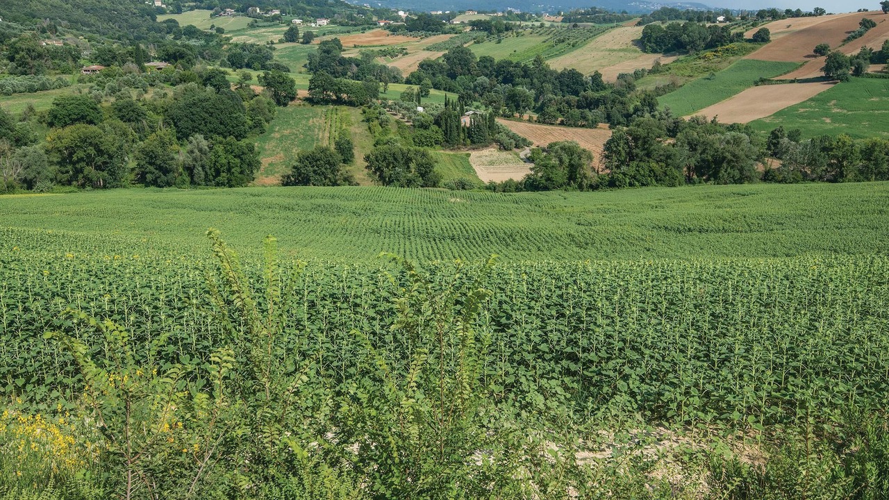 Photo of Outdoor in Fornole