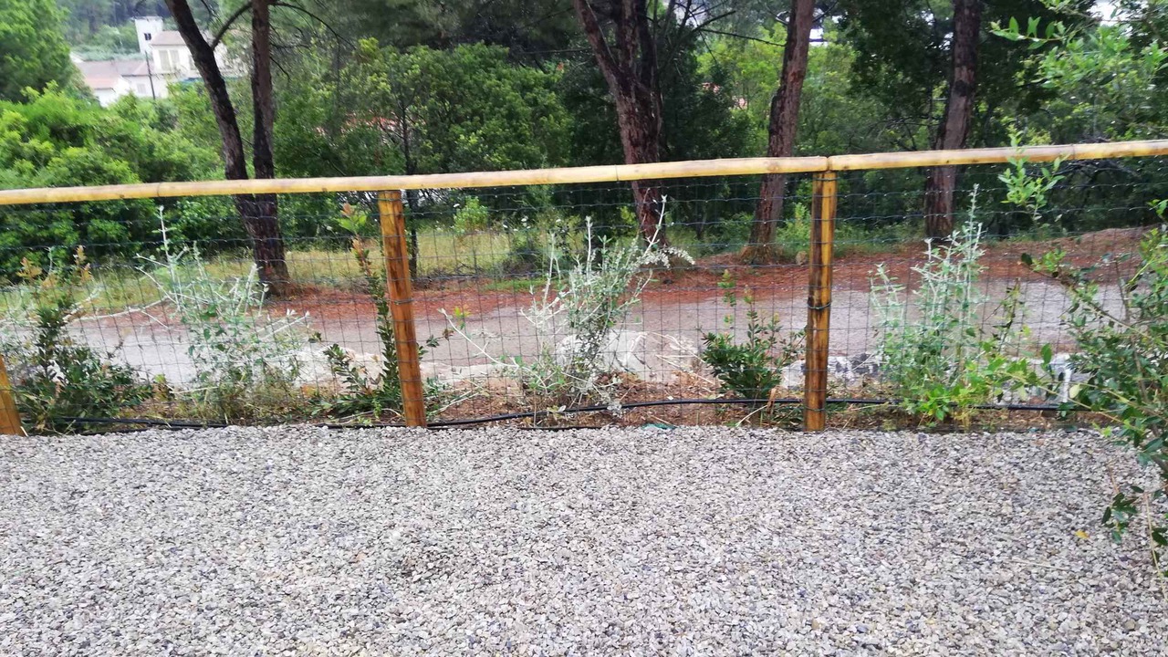 Photo of Outdoor in Lacona