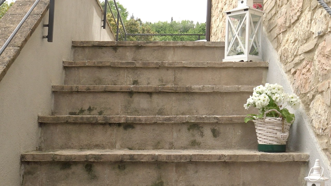 Photo of Others in Assisi