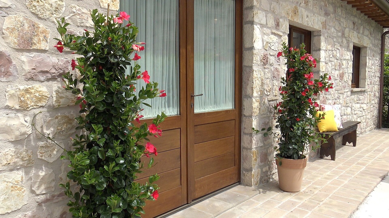 Photo of Outdoor in Assisi