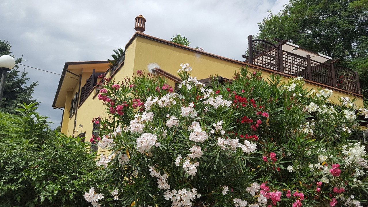 Photo of Outdoor in Talamello