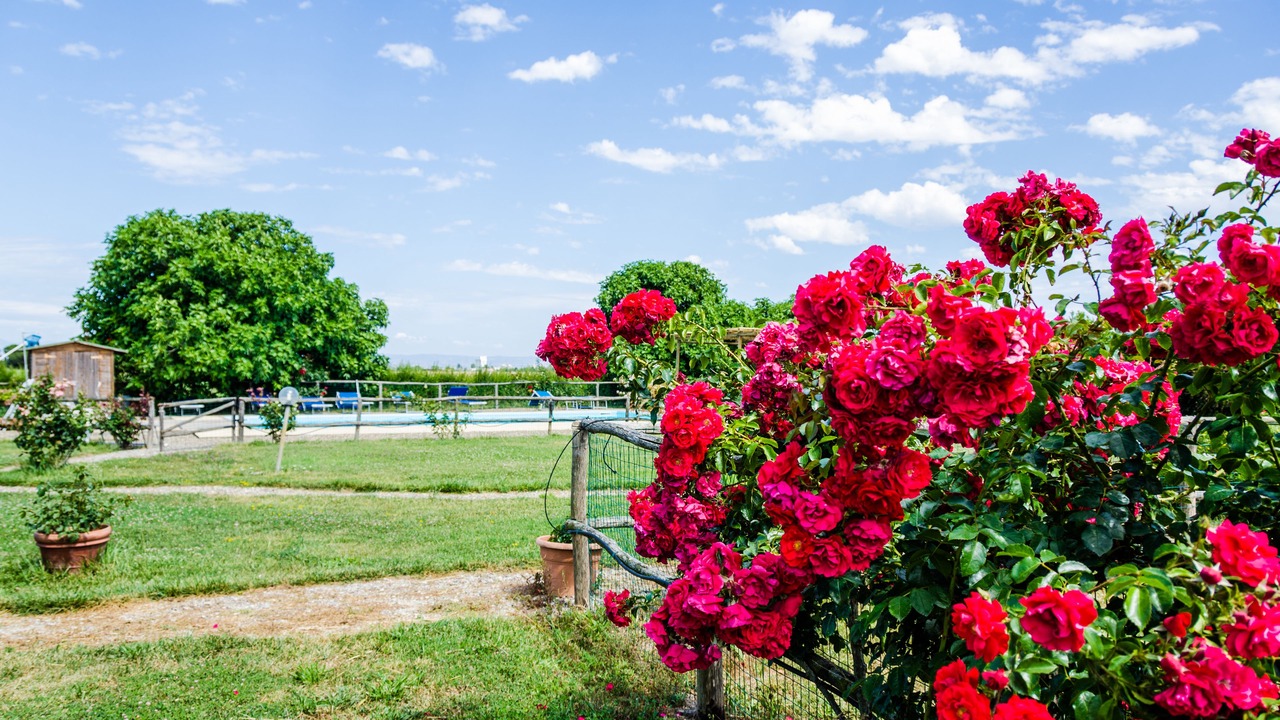 Photo of Outdoor in Grosseto