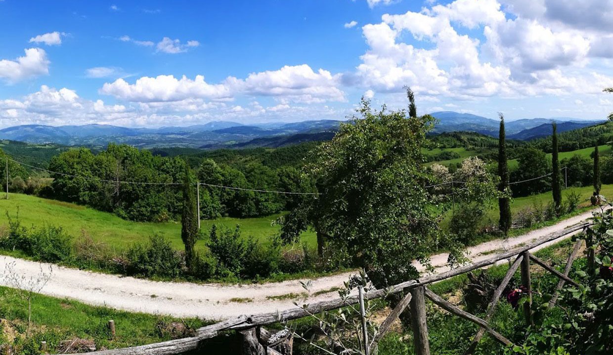 Photo of Others in Monteluiano