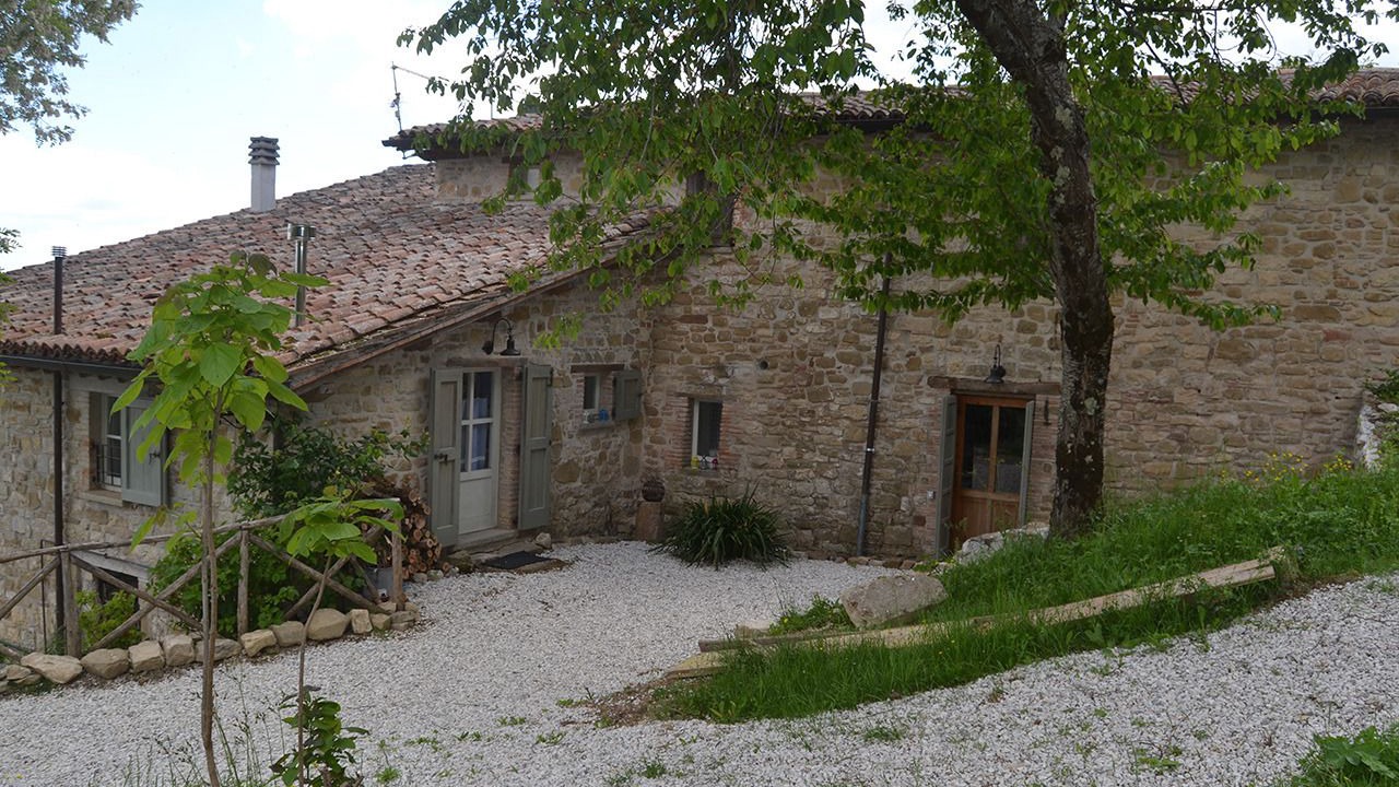 Photo of Outdoor in Monteluiano