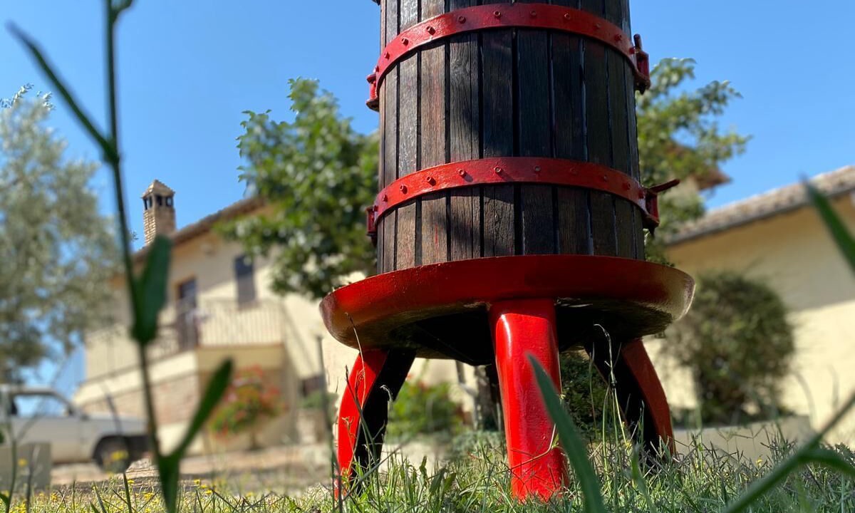 Photo of Outdoor in Montefalco