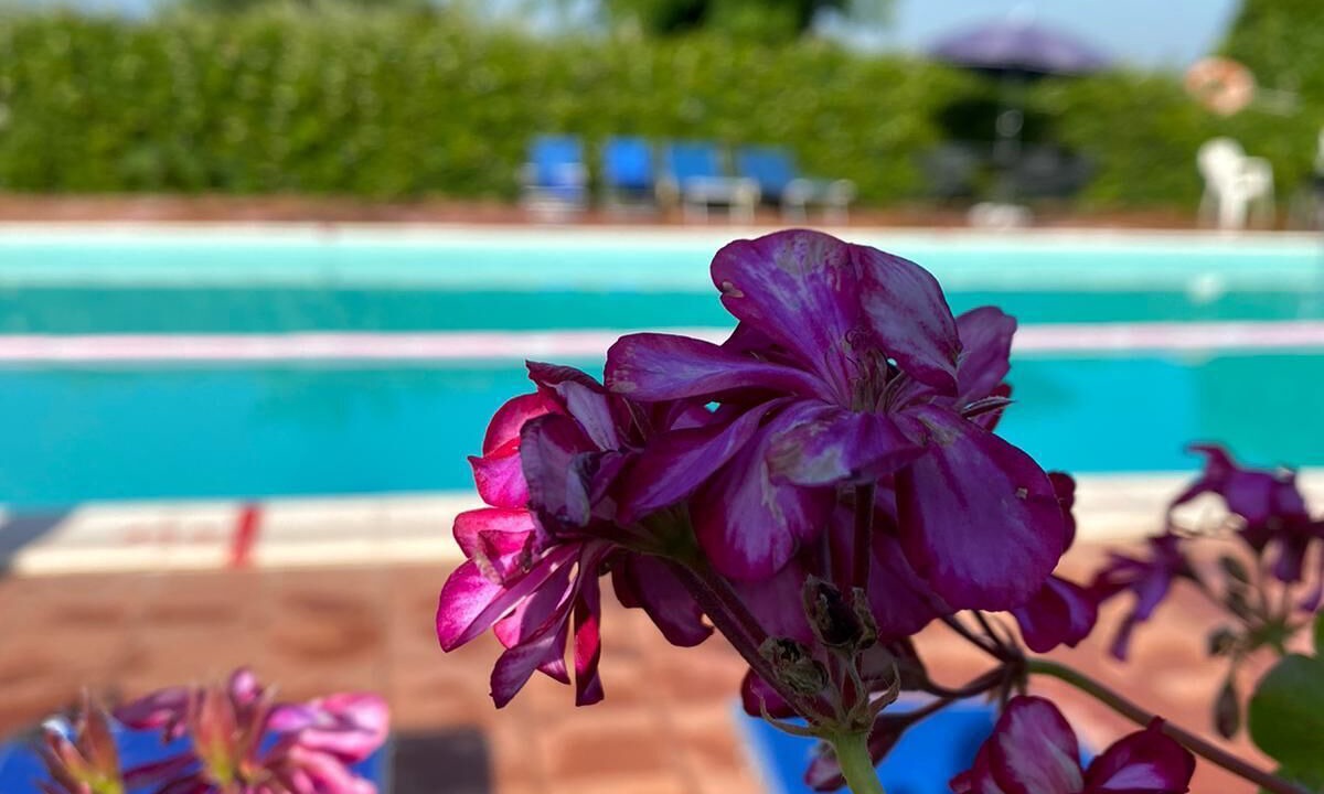 Photo of Outdoor in Montefalco