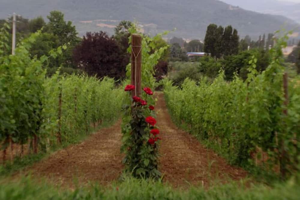 Photo of Outdoor in Umbertide