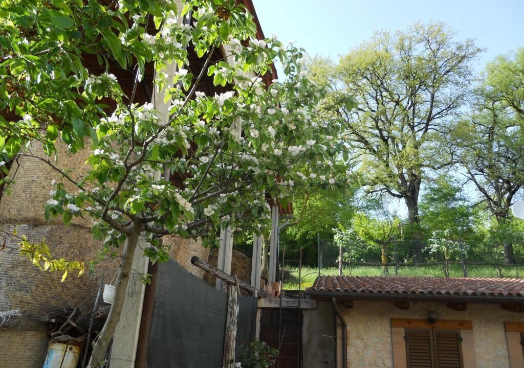 Photo of Outdoor in Preci