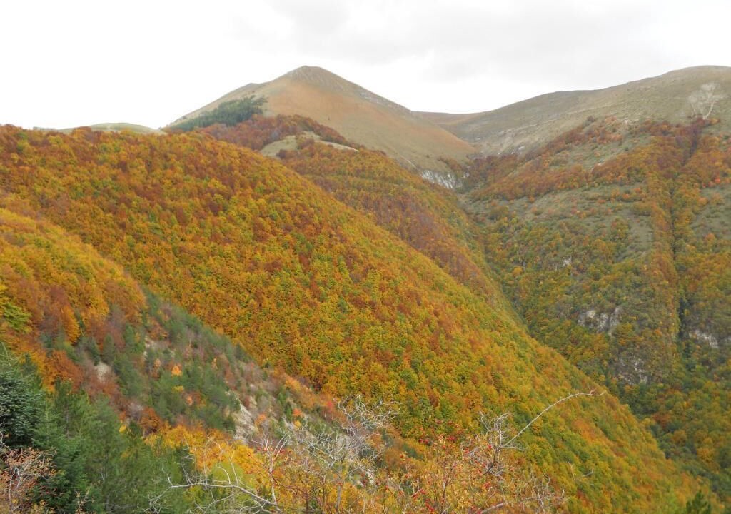 Photo of Outdoor in Preci