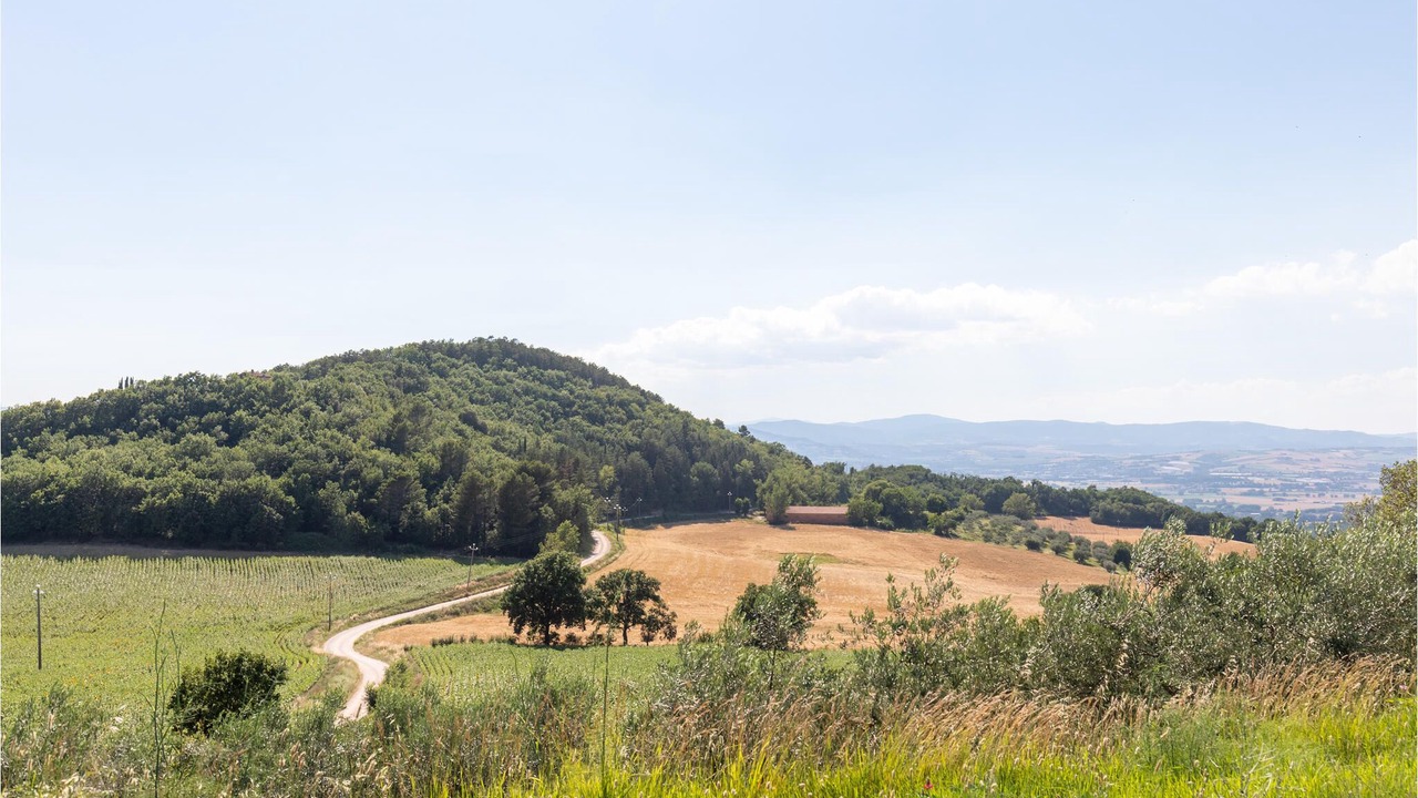 Photo of Outdoor in Collazzone