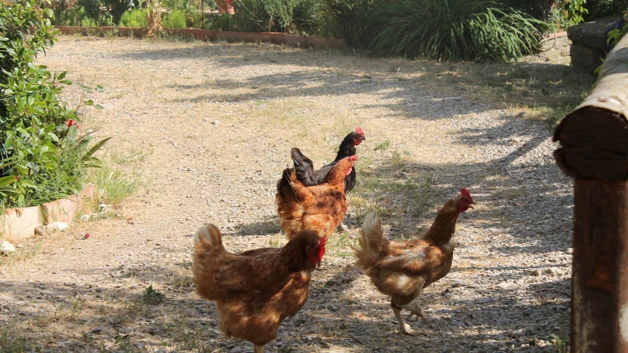 Photo of Outdoor in Pieve di Chio