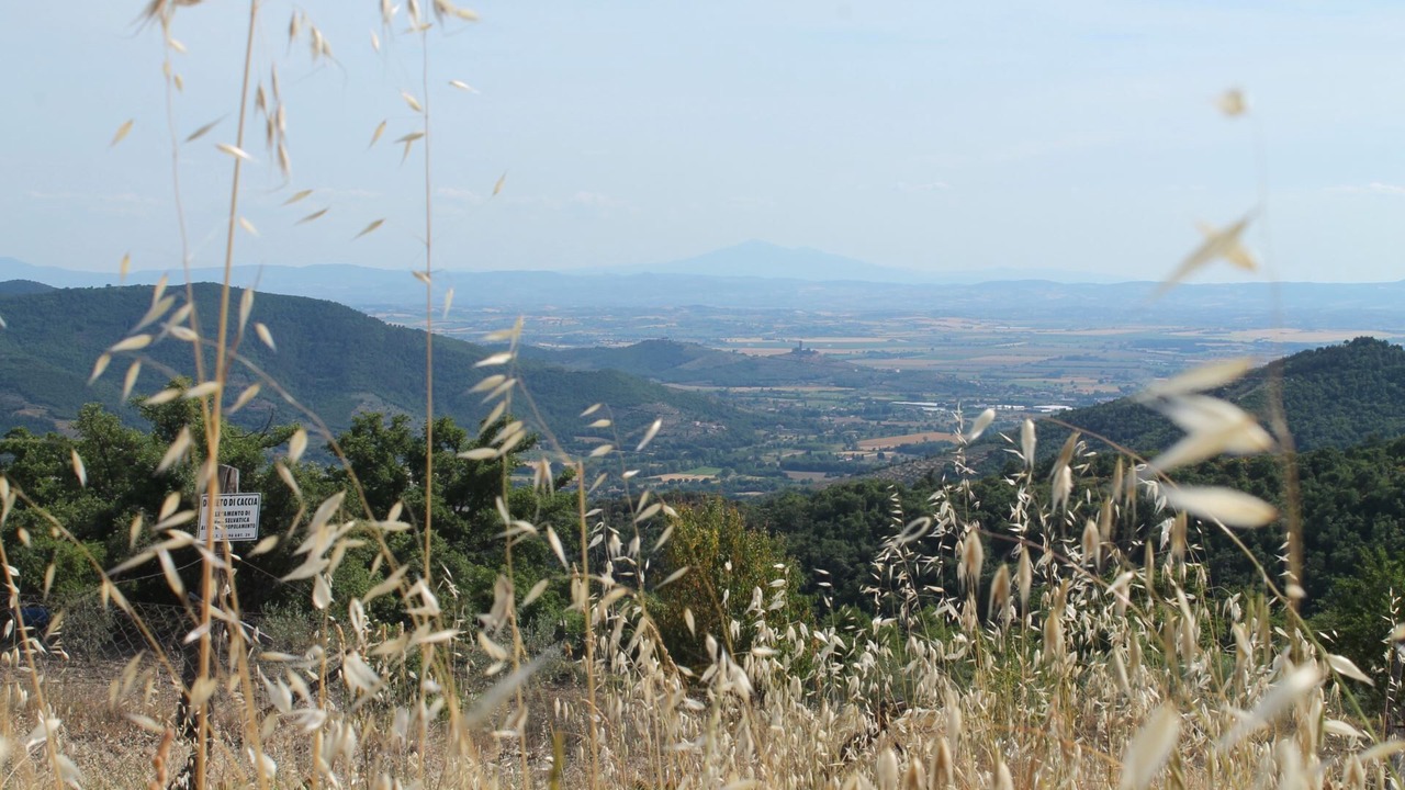 Photo of Outdoor in Pieve di Chio