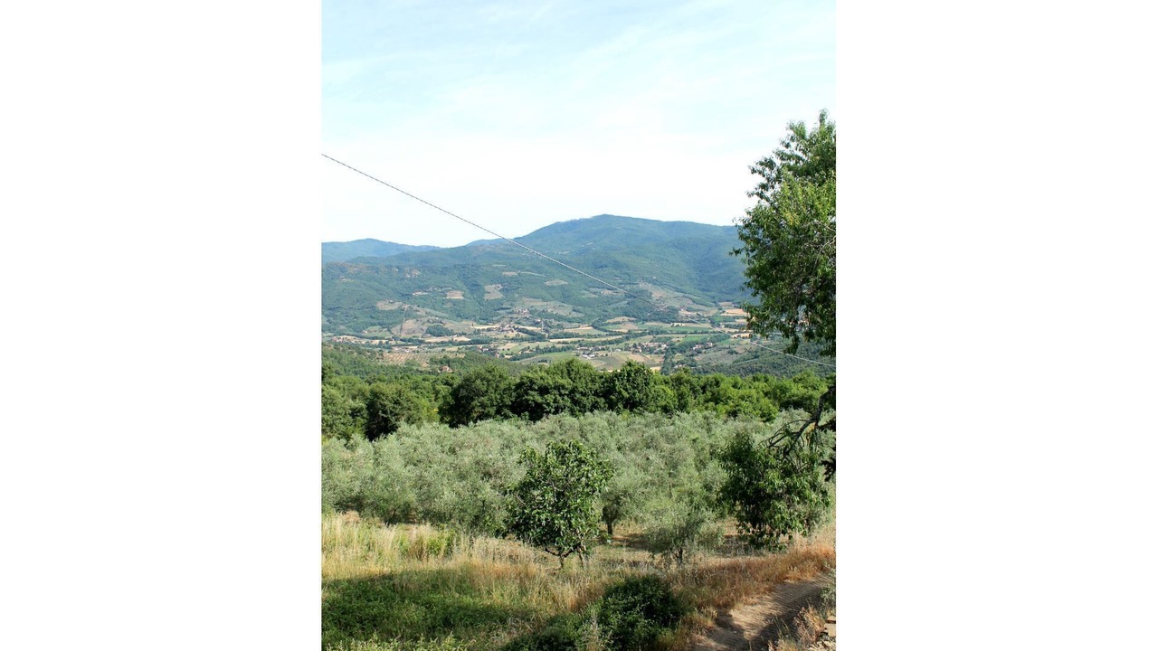Photo of Others in Pieve di Chio