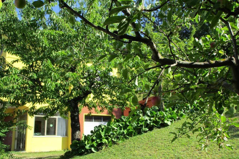 Photo of Outdoor in Mercatello sul Metauro