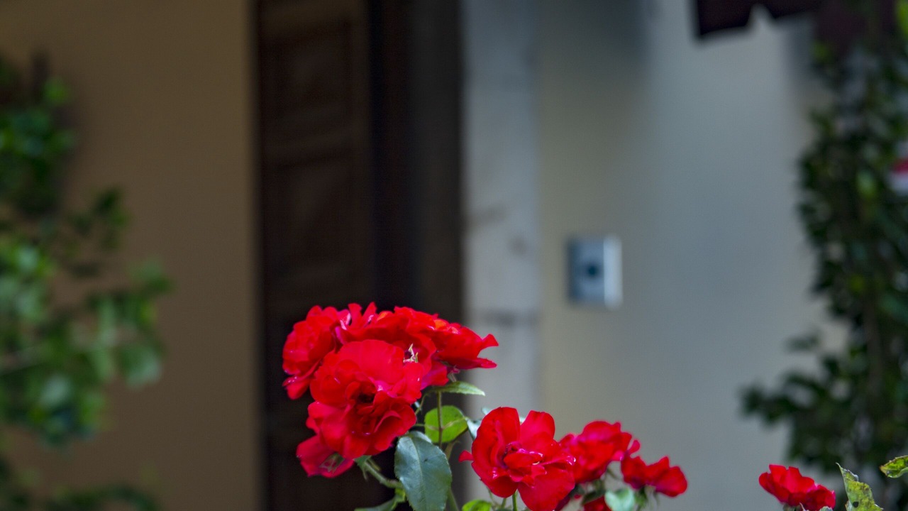 Photo of Outdoor in Cascia